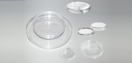 Petri dish